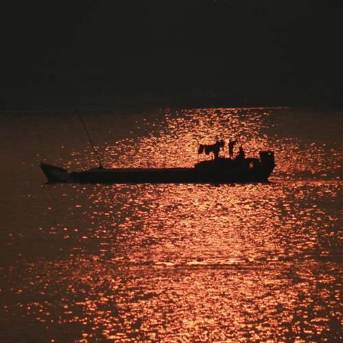 Photo #6309281