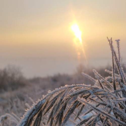 Photo #6309571