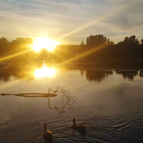 Photo #6309654