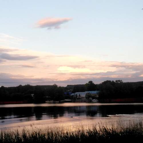 Photo #6309655