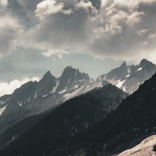 Photo #6309788