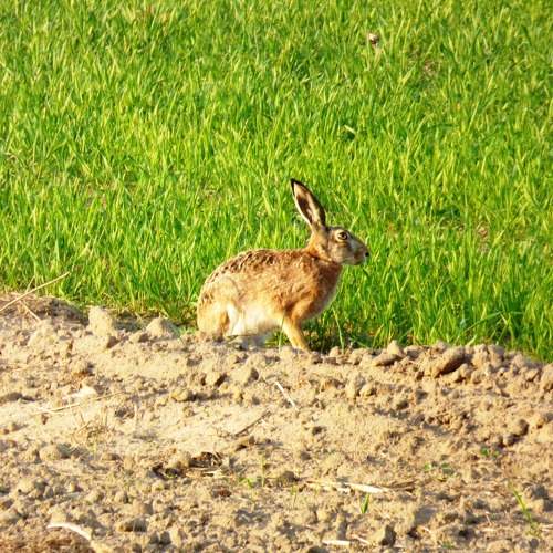 Photo #6309914
