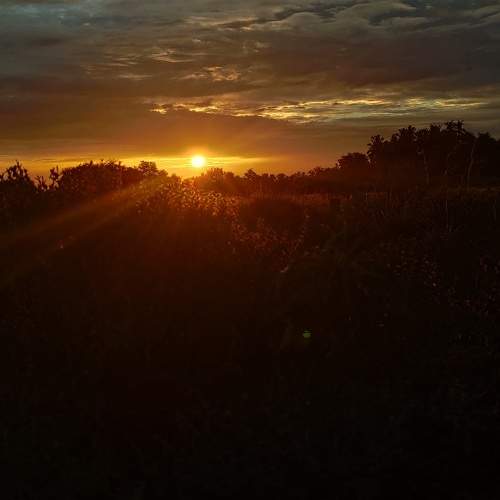 Photo #6310256