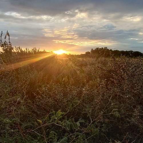 Photo #6310257
