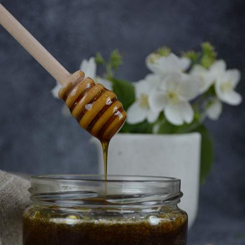 Photo #6310485