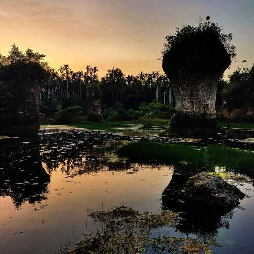 natural fountain