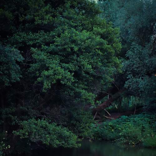 Photo #6310980