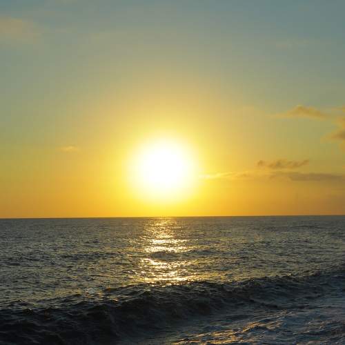 Photo #6310983