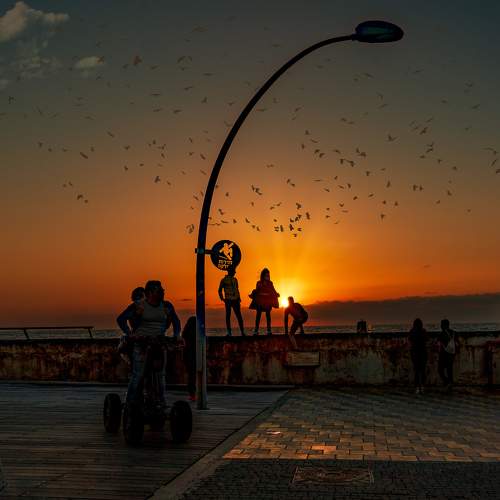 Photo #6312143