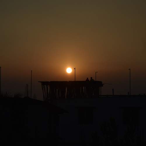 Photo #6313652