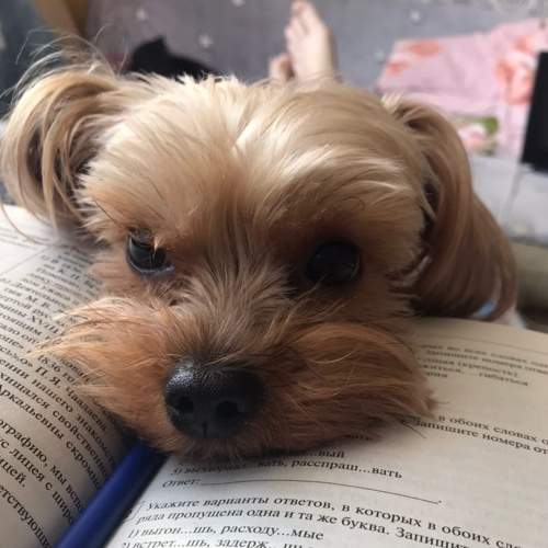 Photo #6313891