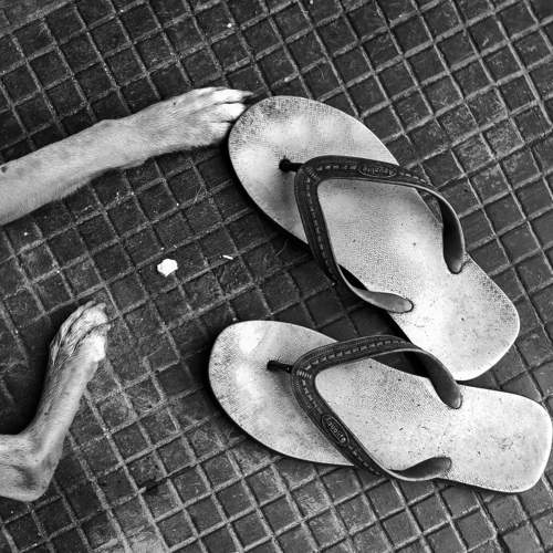 Photo #6314872