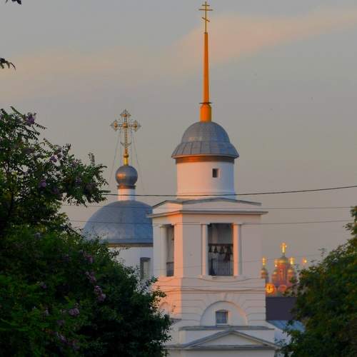 Photo #6315020
