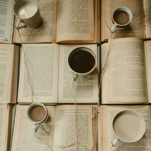 Photo #6315055