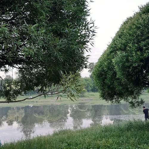 Photo #6315091