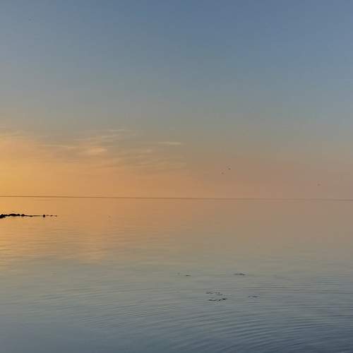 Photo #6315463