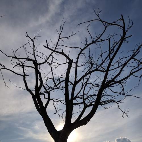 Photo #6315543