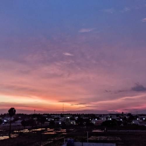 Photo #6315548