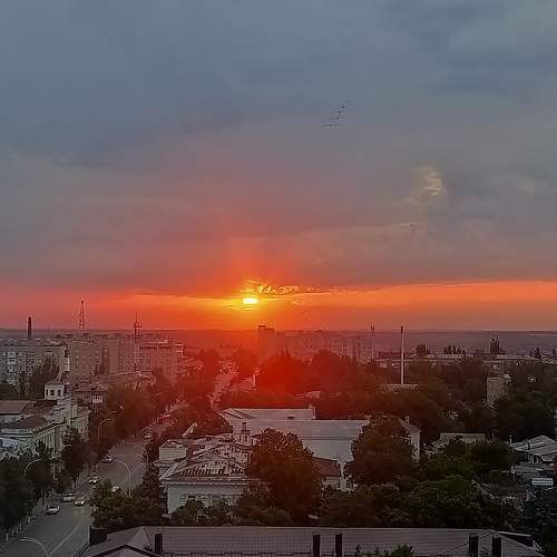 Photo #6315824