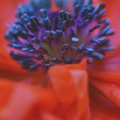 Photo #6316032