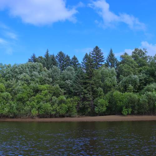 Photo #6316545