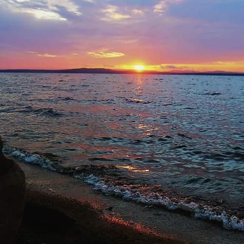Photo #6316559