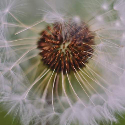 Photo #6317614