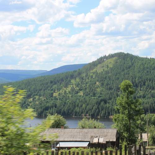 Photo #6318014