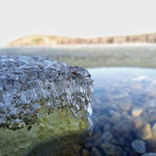 Photo #6318337