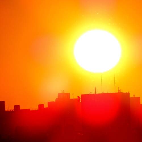 Photo #6318390