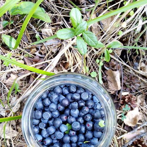Photo #6318459