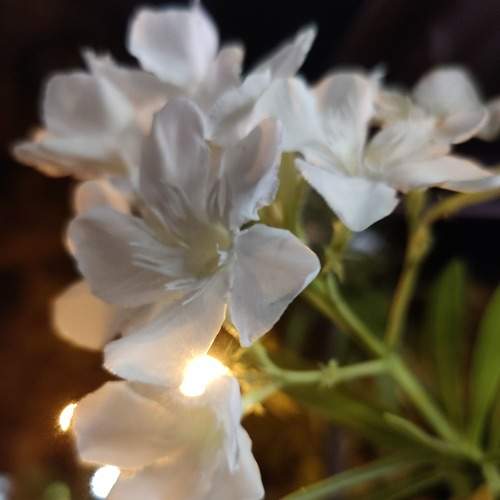 Photo #6318477