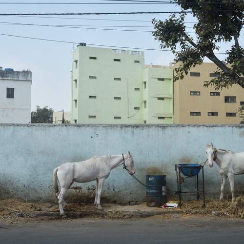 Photo #6319770