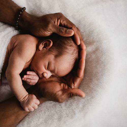 Photo #6320030