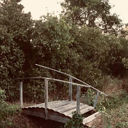 Photo #6320195