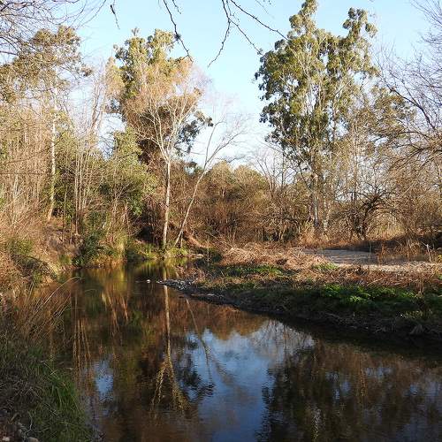 Photo #6320513