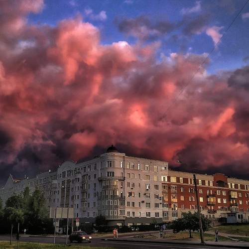 Photo #6321625