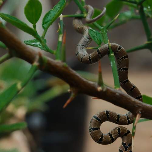 Photo #6321627