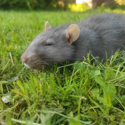 Photo #6321700
