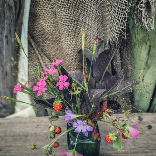 Photo #6321772