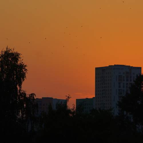 Photo #6322010