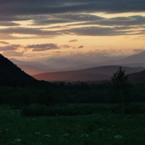 Photo #6322087