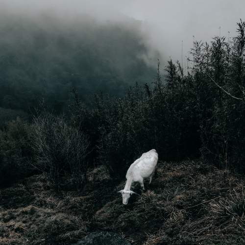 Photo #6322290