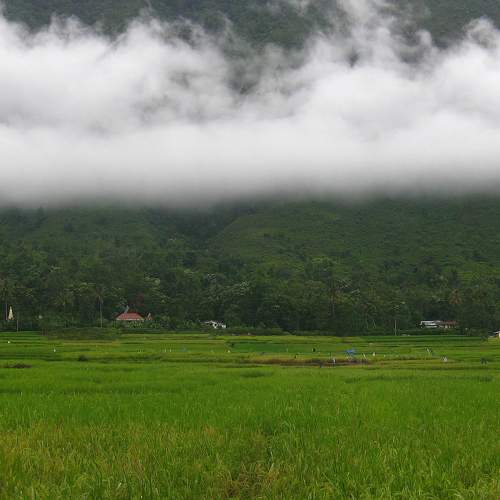 Photo #6322302