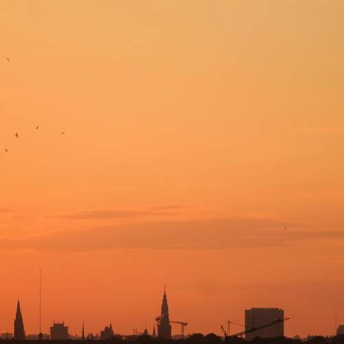 Photo #6322455