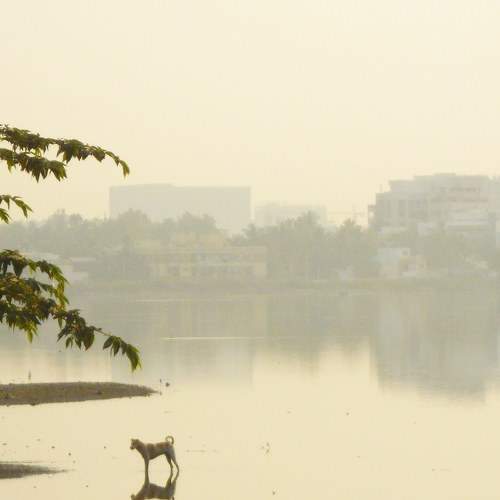 Photo #6322873