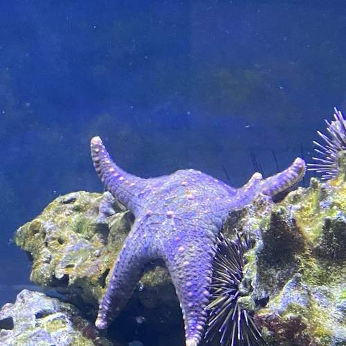 Photo #6323156