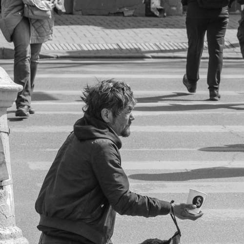 Photo #6323255