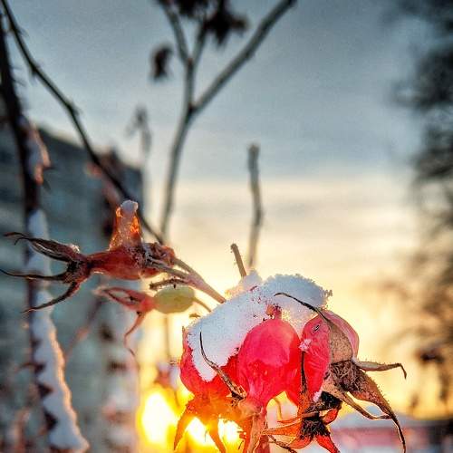 Photo #6323722