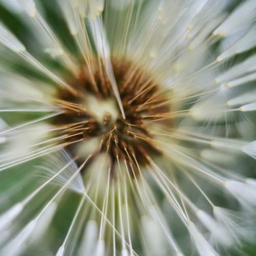 Photo #6323984